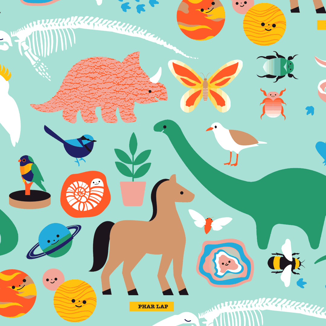A Melbourne Museum x Halcyon Nights Collaboration