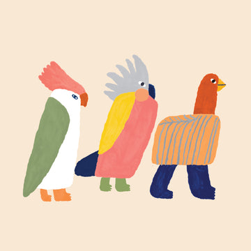 Flamin' Galahs