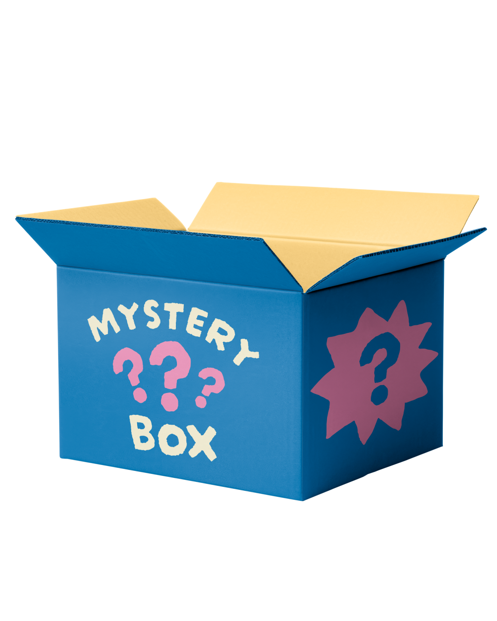 Winter Boy Newborn Mystery Box