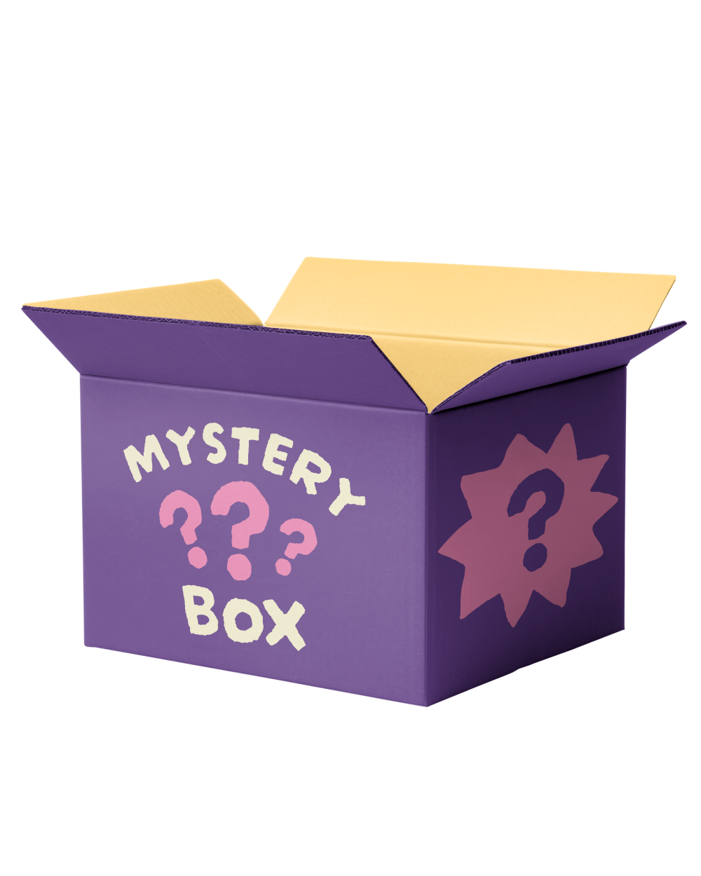 Winter Girl Newborn Mystery Box